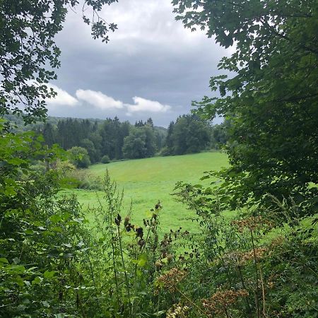 Ferienwohnung Waldruhe Hessisch Oldendorf Esterno foto