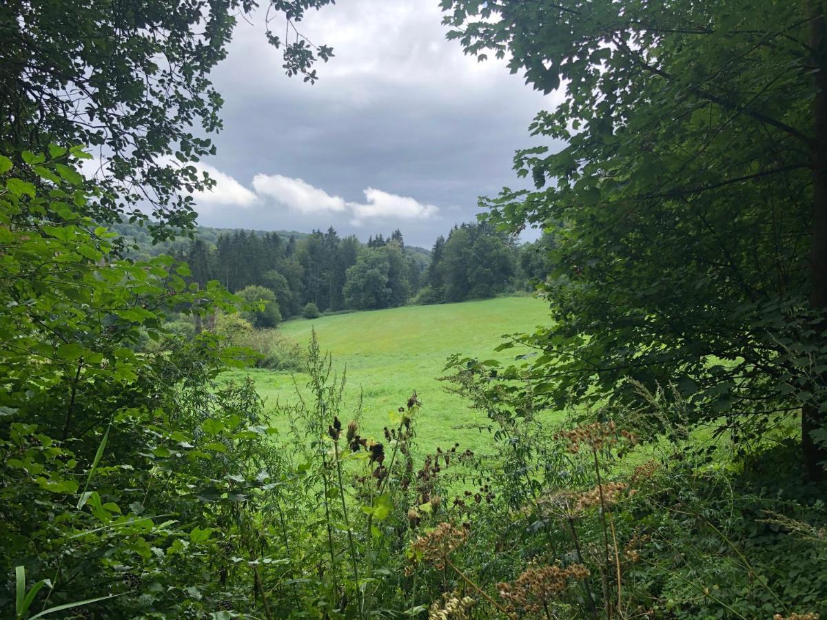 Ferienwohnung Waldruhe Hessisch Oldendorf Esterno foto